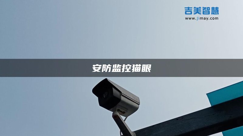全景监控摄像头：价格背后的技术考量**